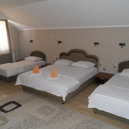 Guest House Vila Bor Novi Sad Bagian luar foto