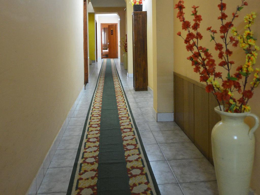 Guest House Vila Bor Novi Sad Bagian luar foto