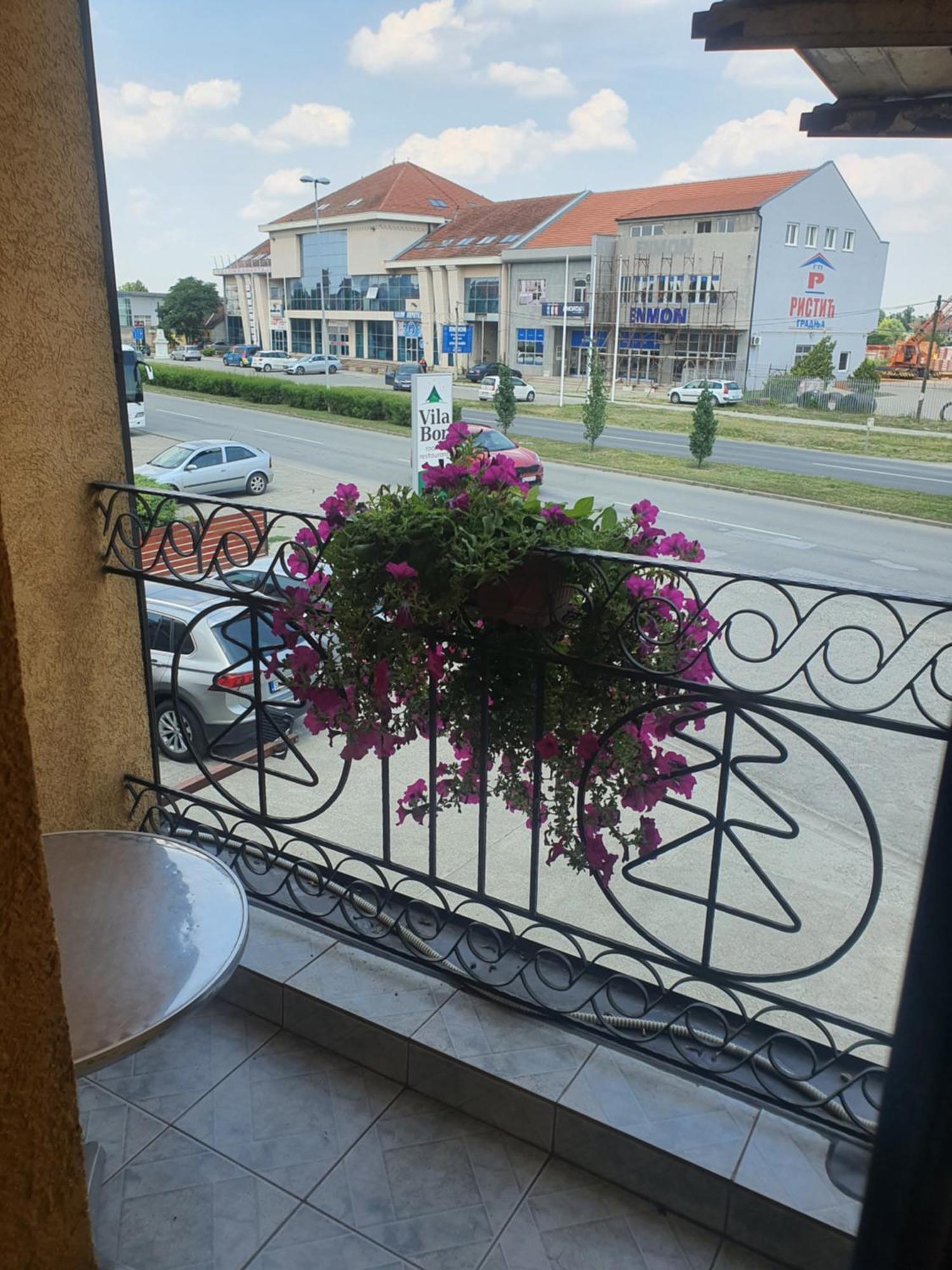 Guest House Vila Bor Novi Sad Bagian luar foto